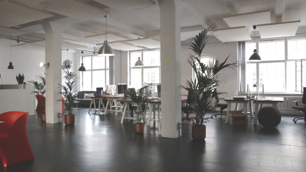 Los elementos a considerar cuando reformas tus oficinas 1 oficinas