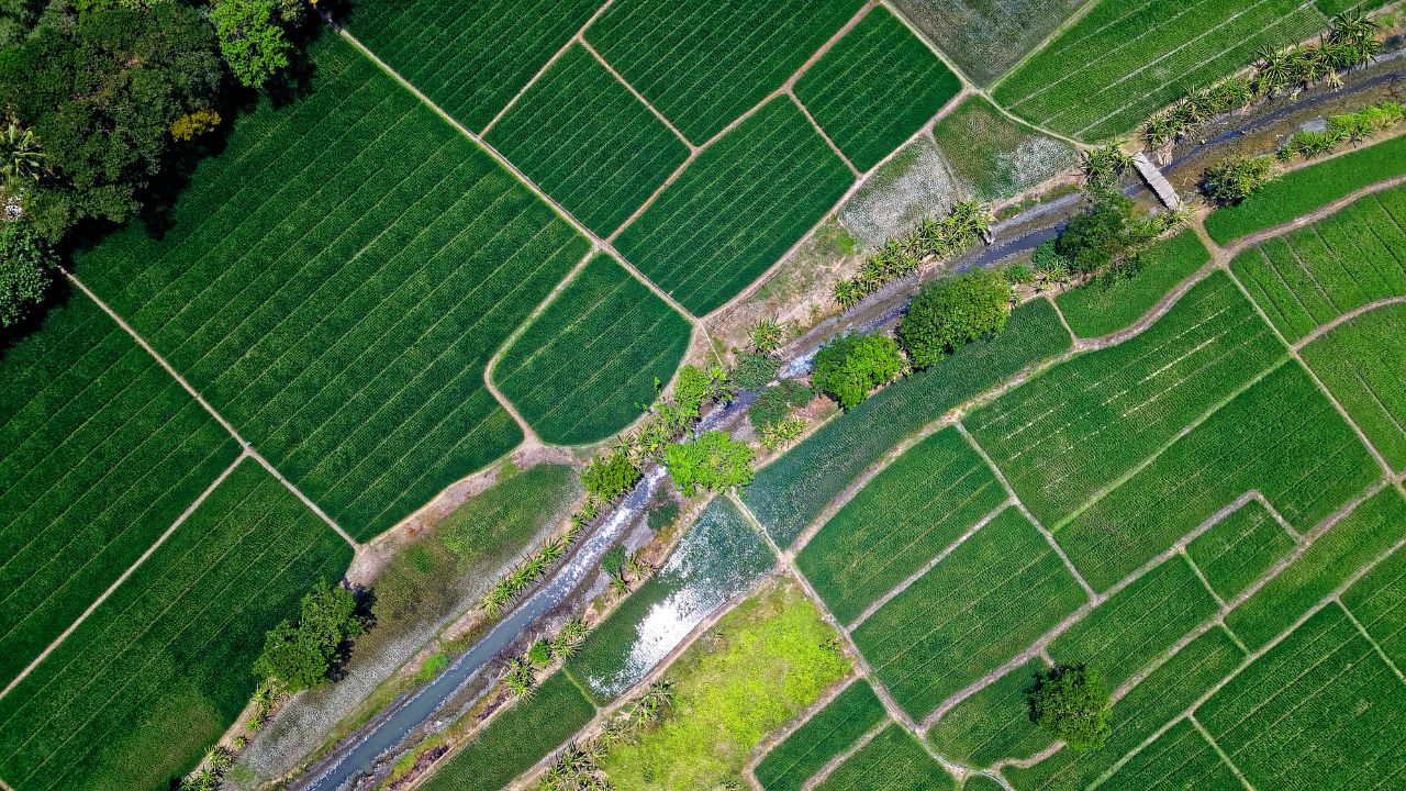 drenaje agrícola