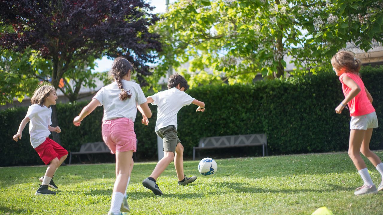 actividades extraescolares